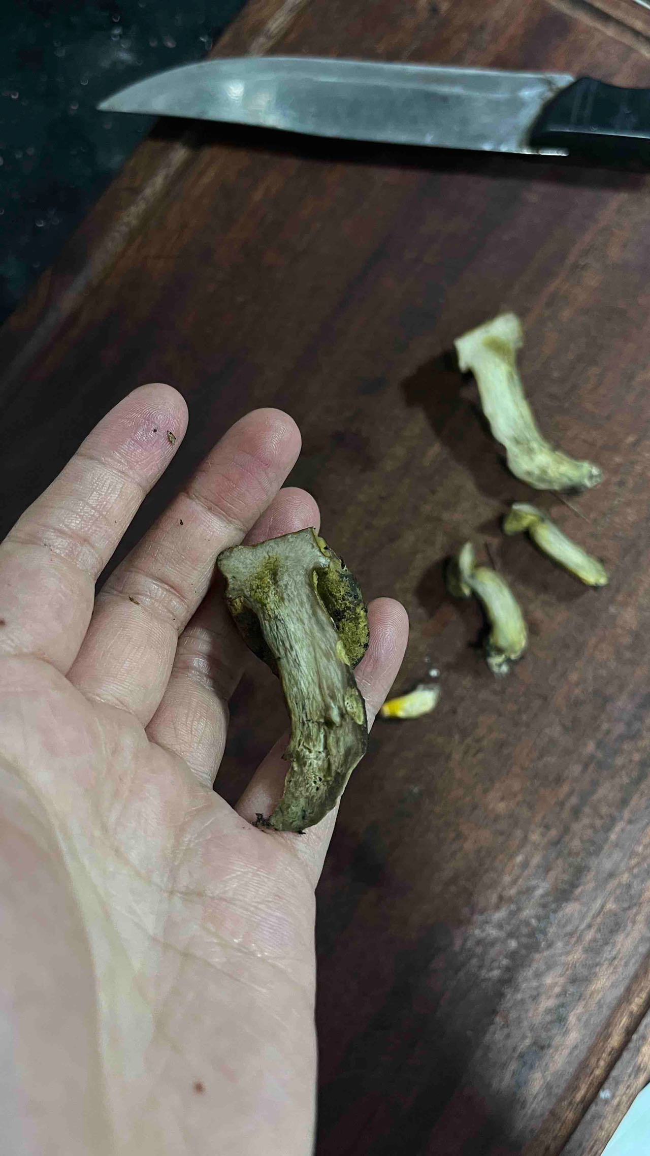 牛肝菌寄生菌