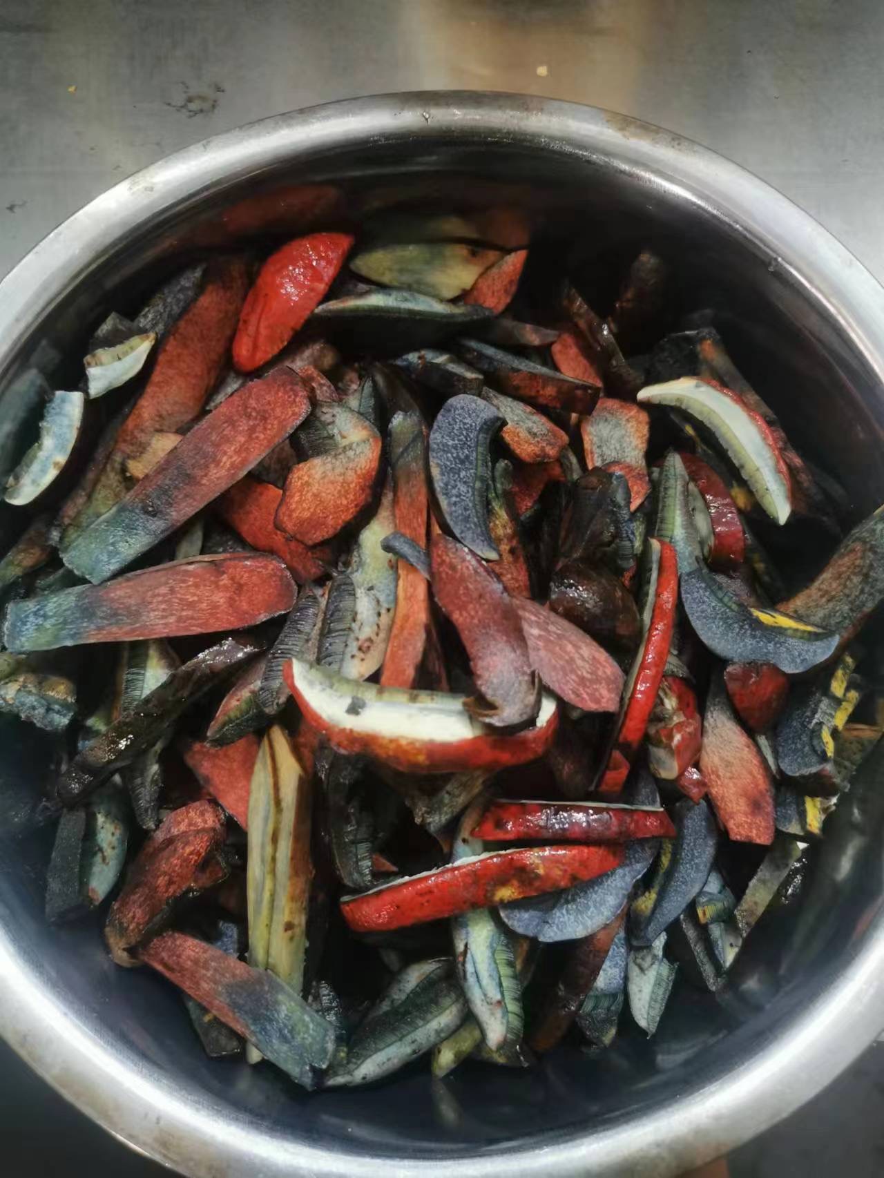 标本照片