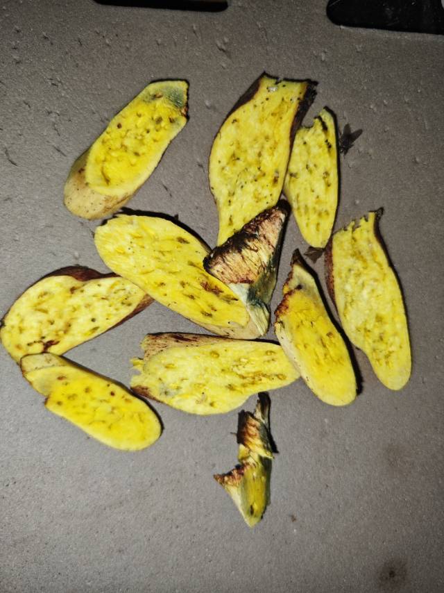 窄孢兰茂牛肝菌