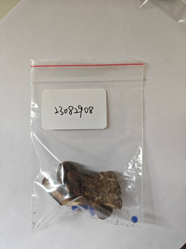 紫褐粉孢牛肝菌