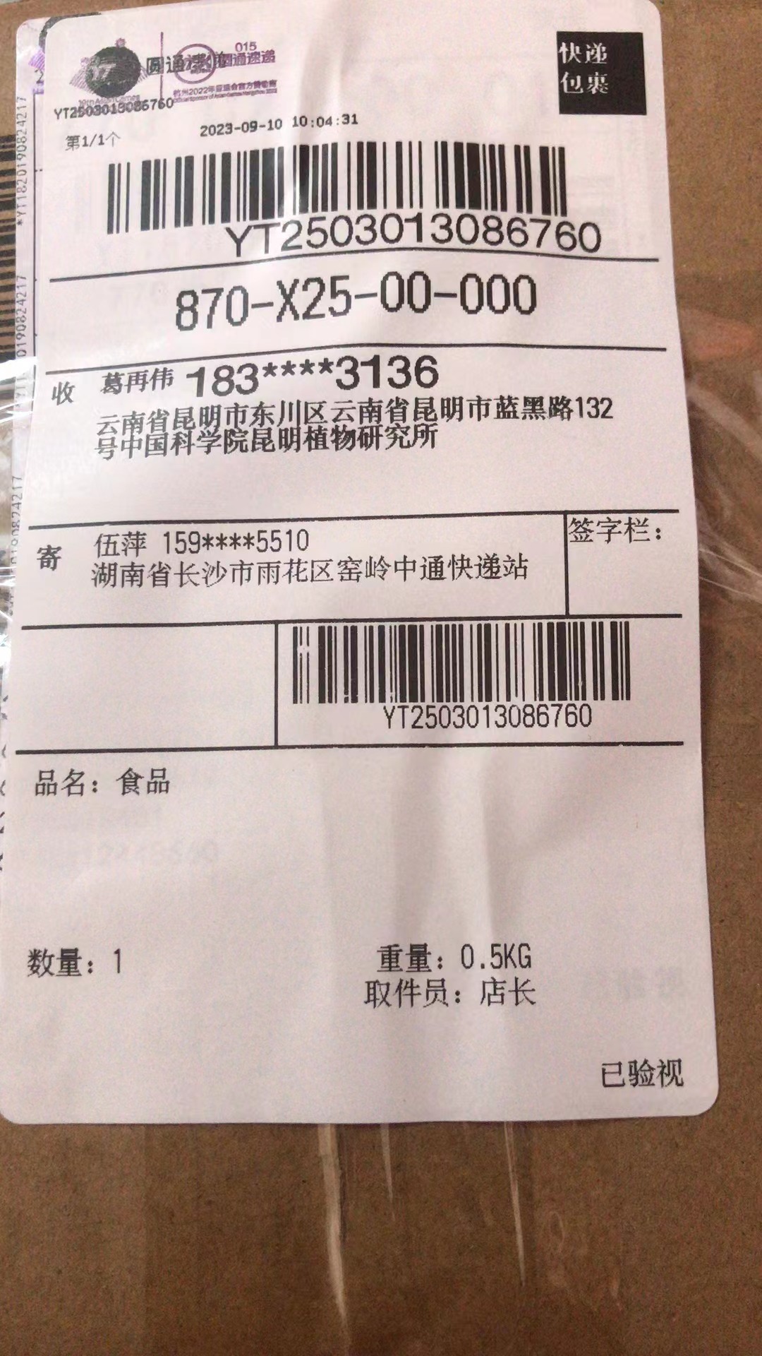 大环柄菇