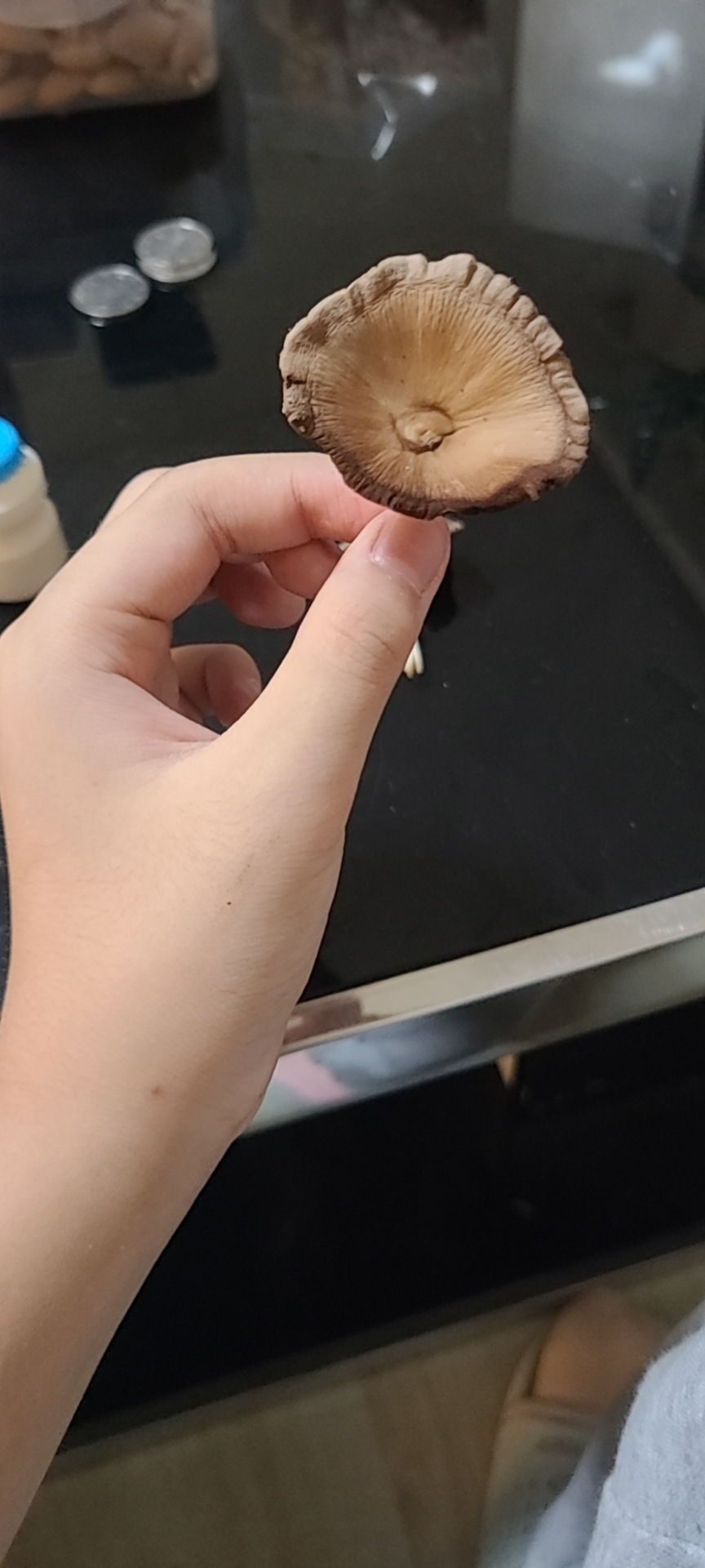 没收到