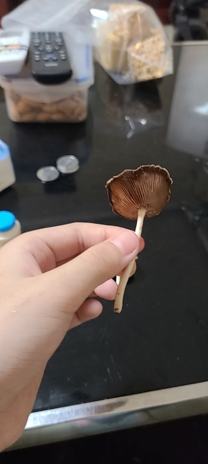 没收到