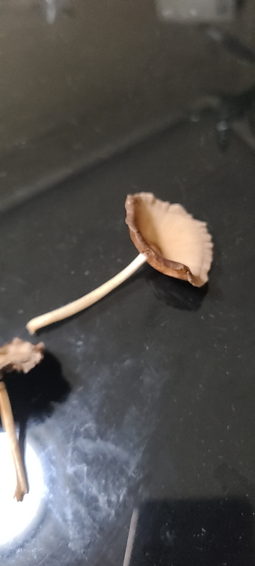 没收到