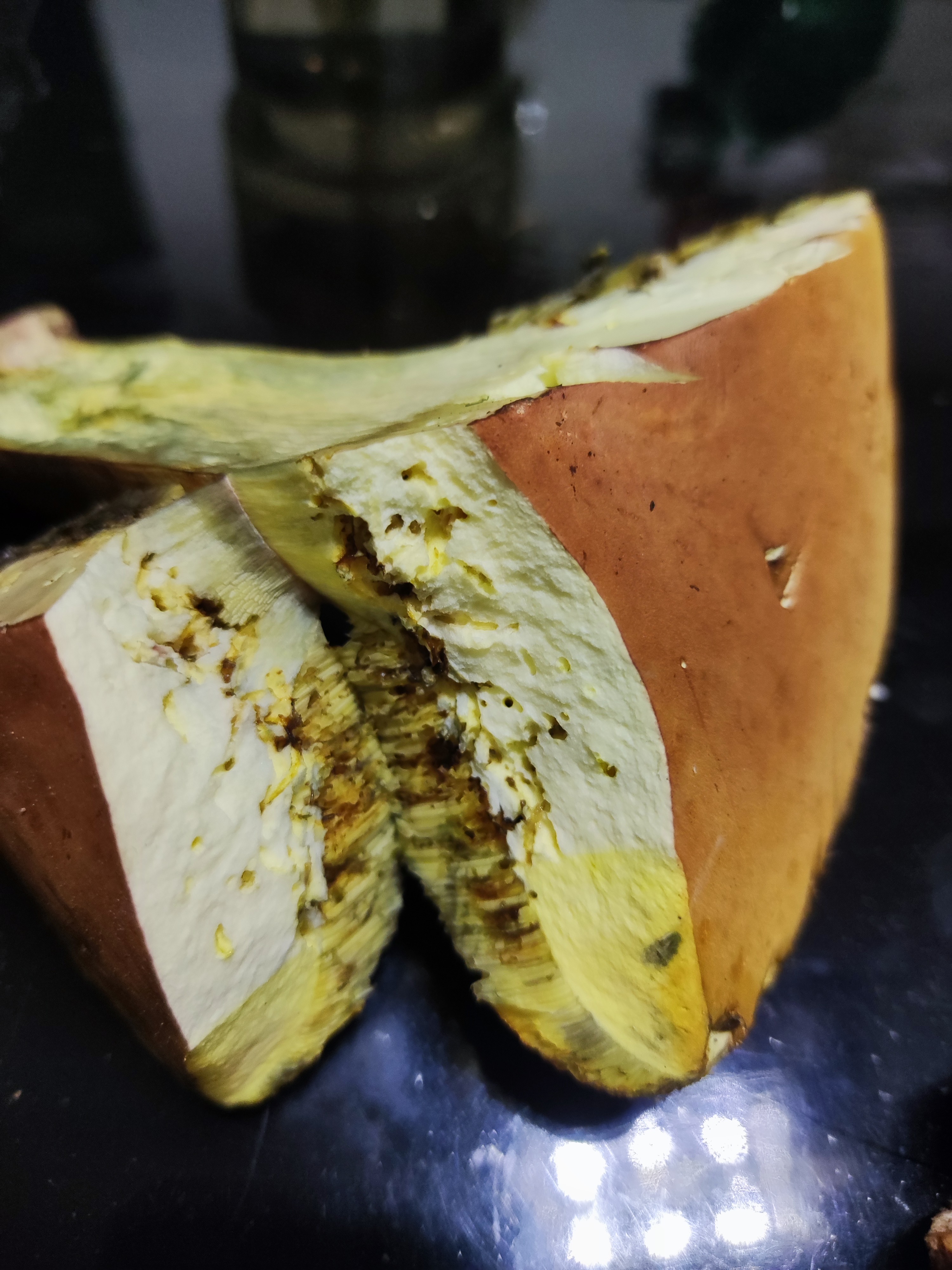 兰茂牛肝菌