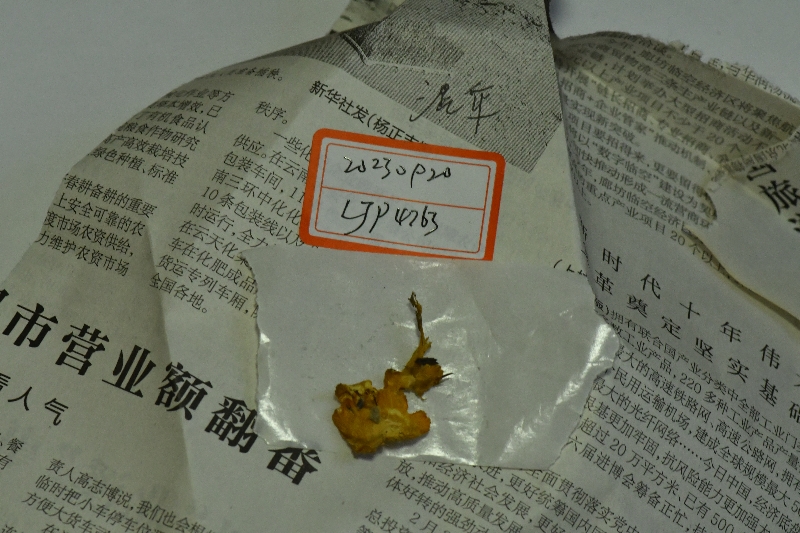 雷迪湿伞