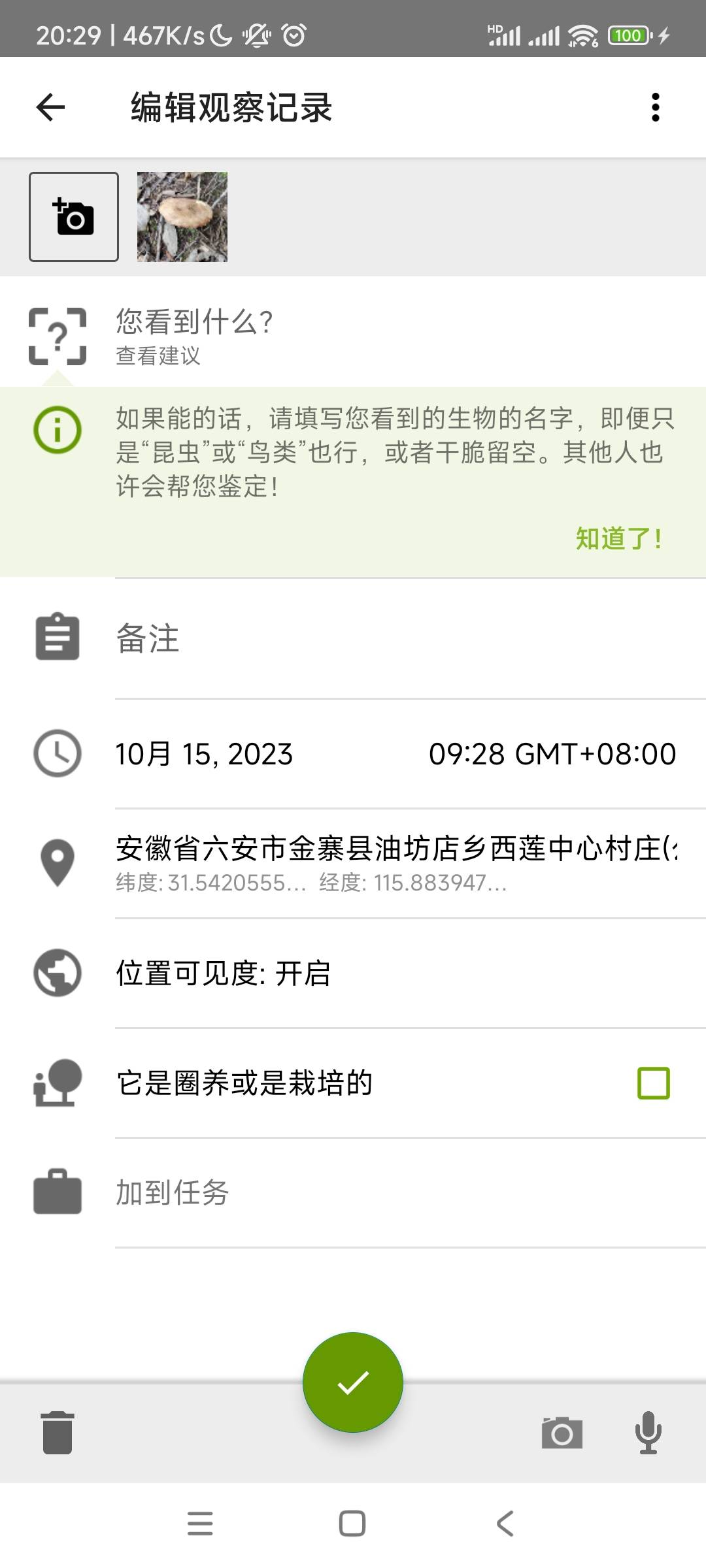 中华苦口蘑