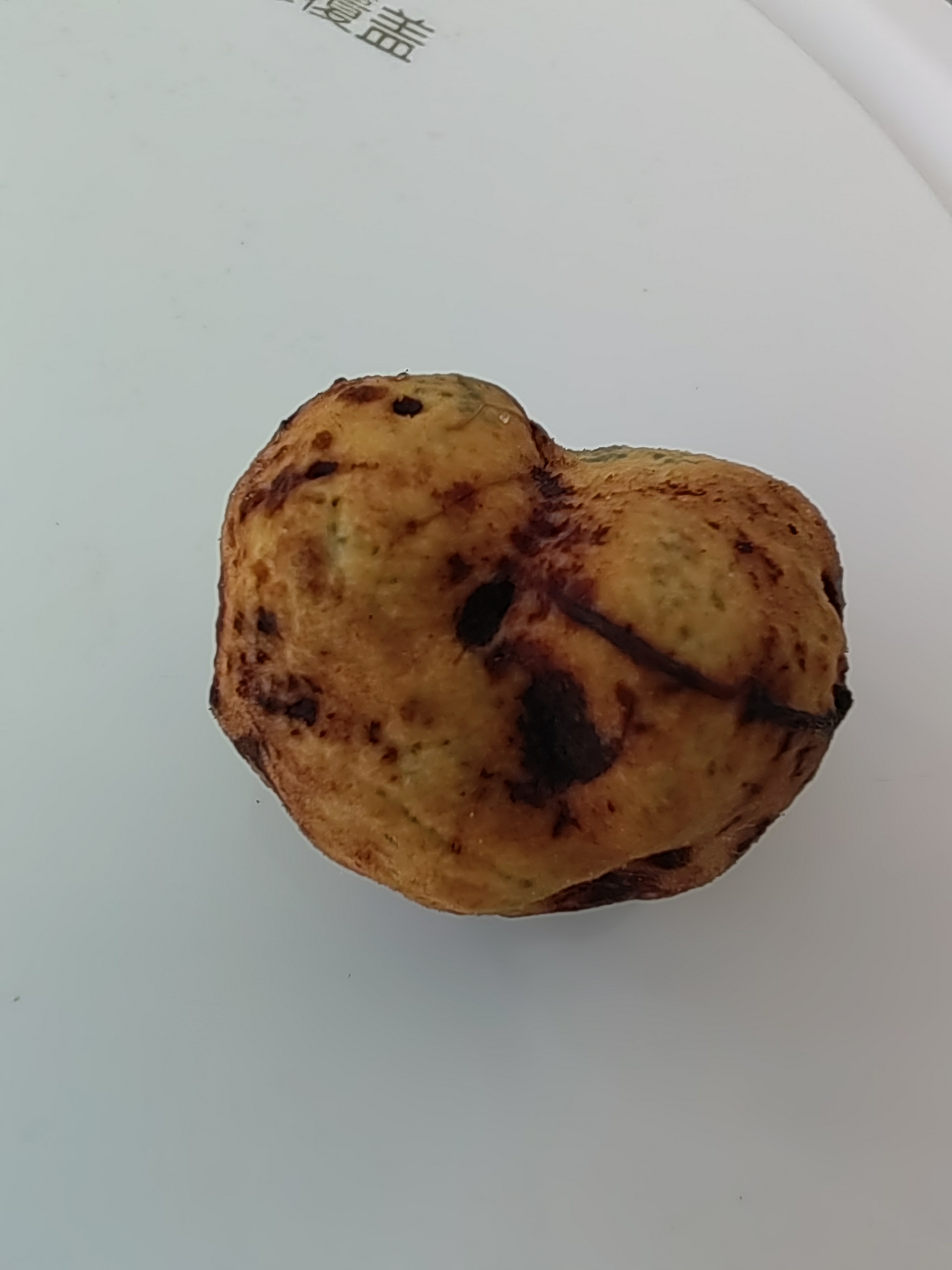 黑腹菌