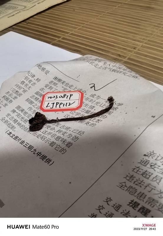 粉褶菌