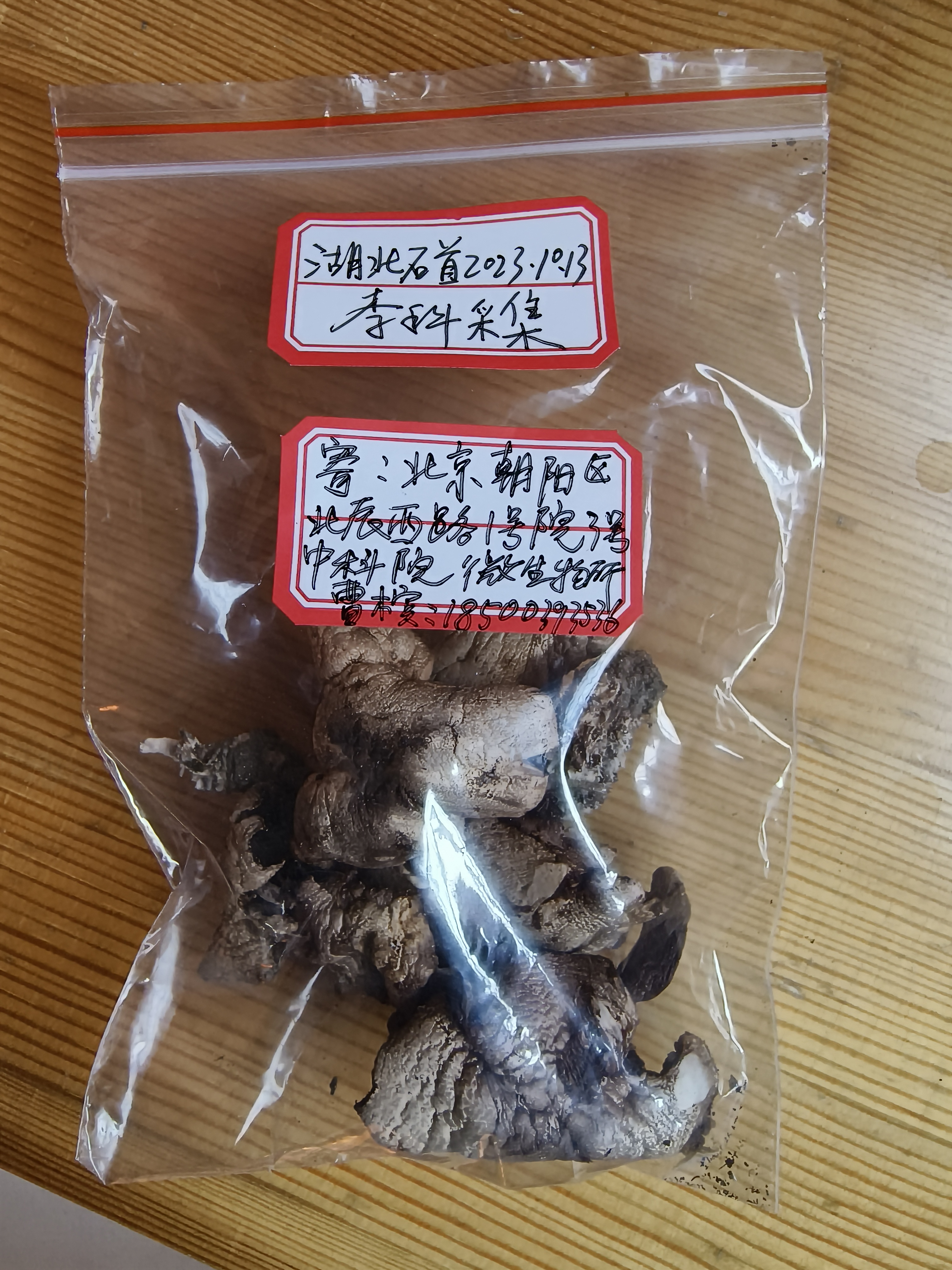 暗顶蘑菇