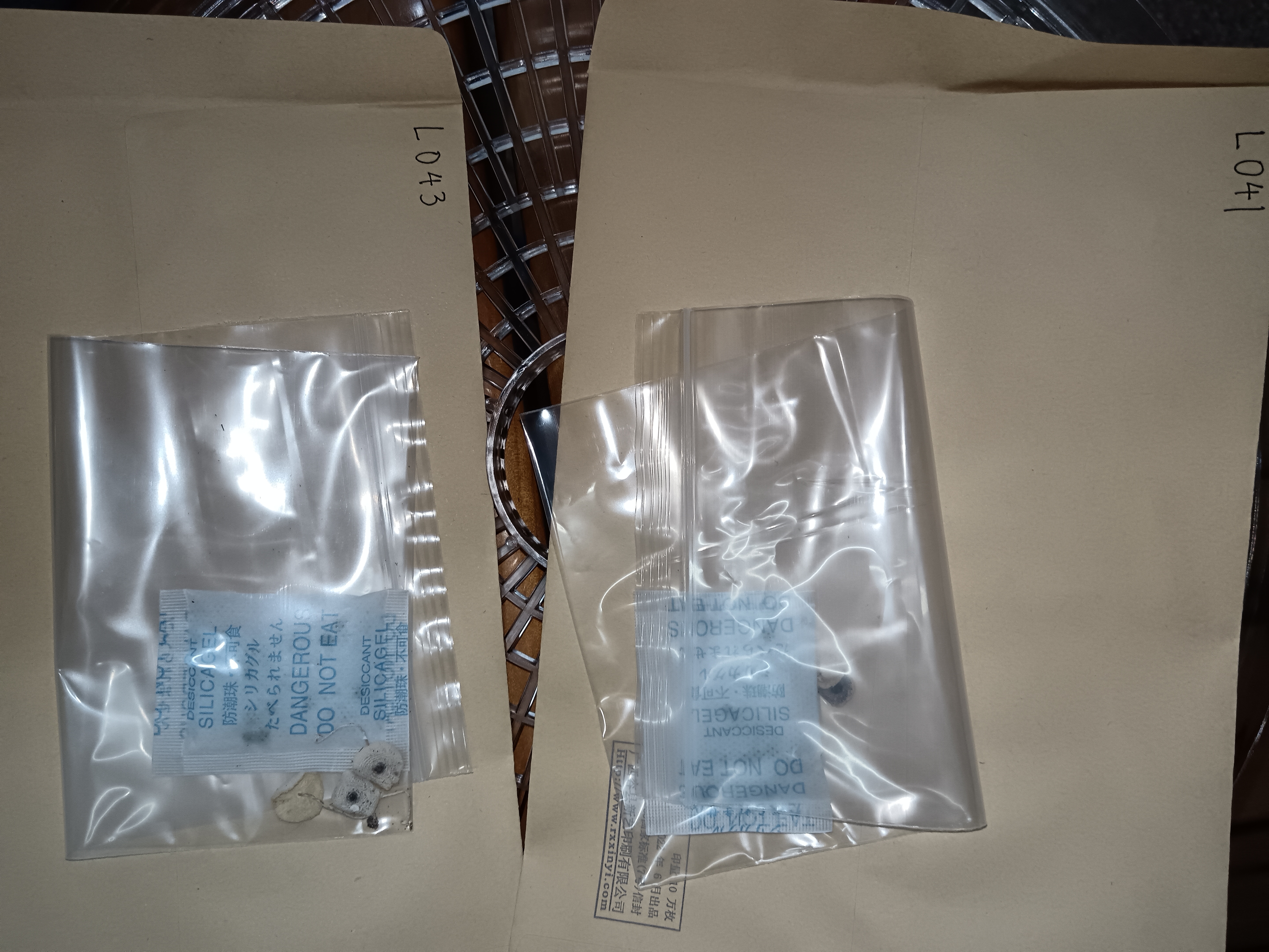 白鬼伞属一种