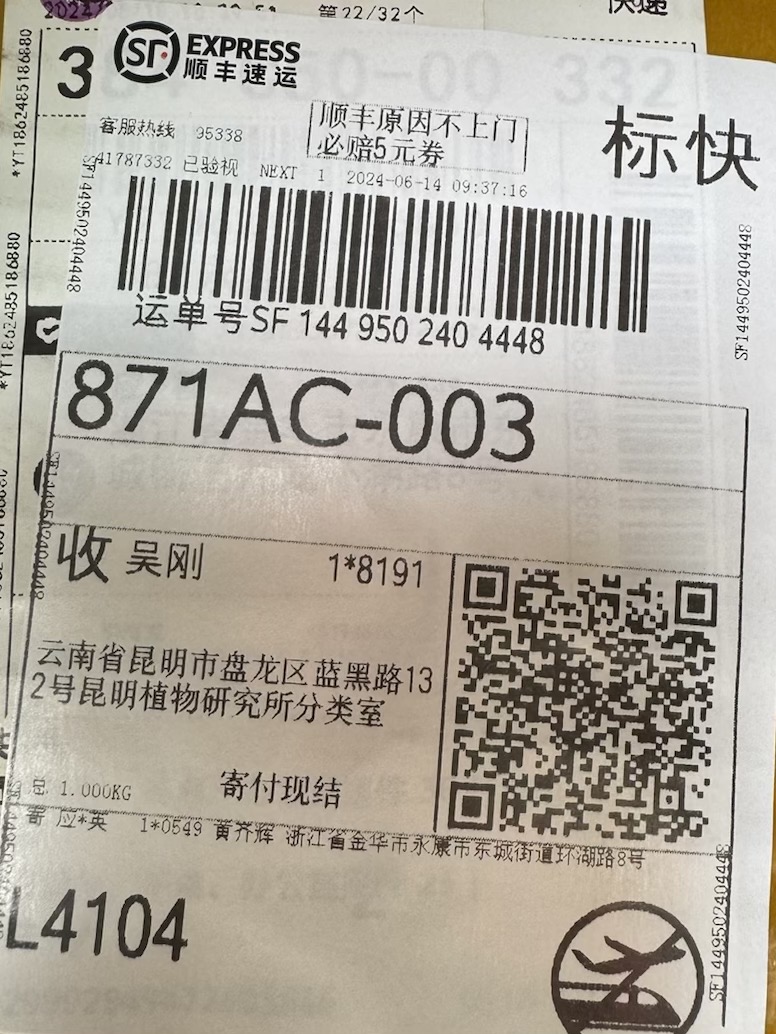 隐纹条孢牛肝菌（分子测序失败，照片鉴定）