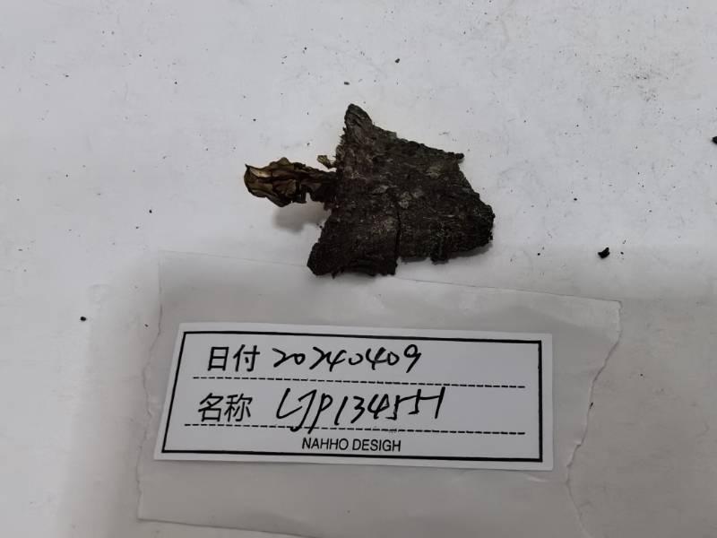 银耳属未知种