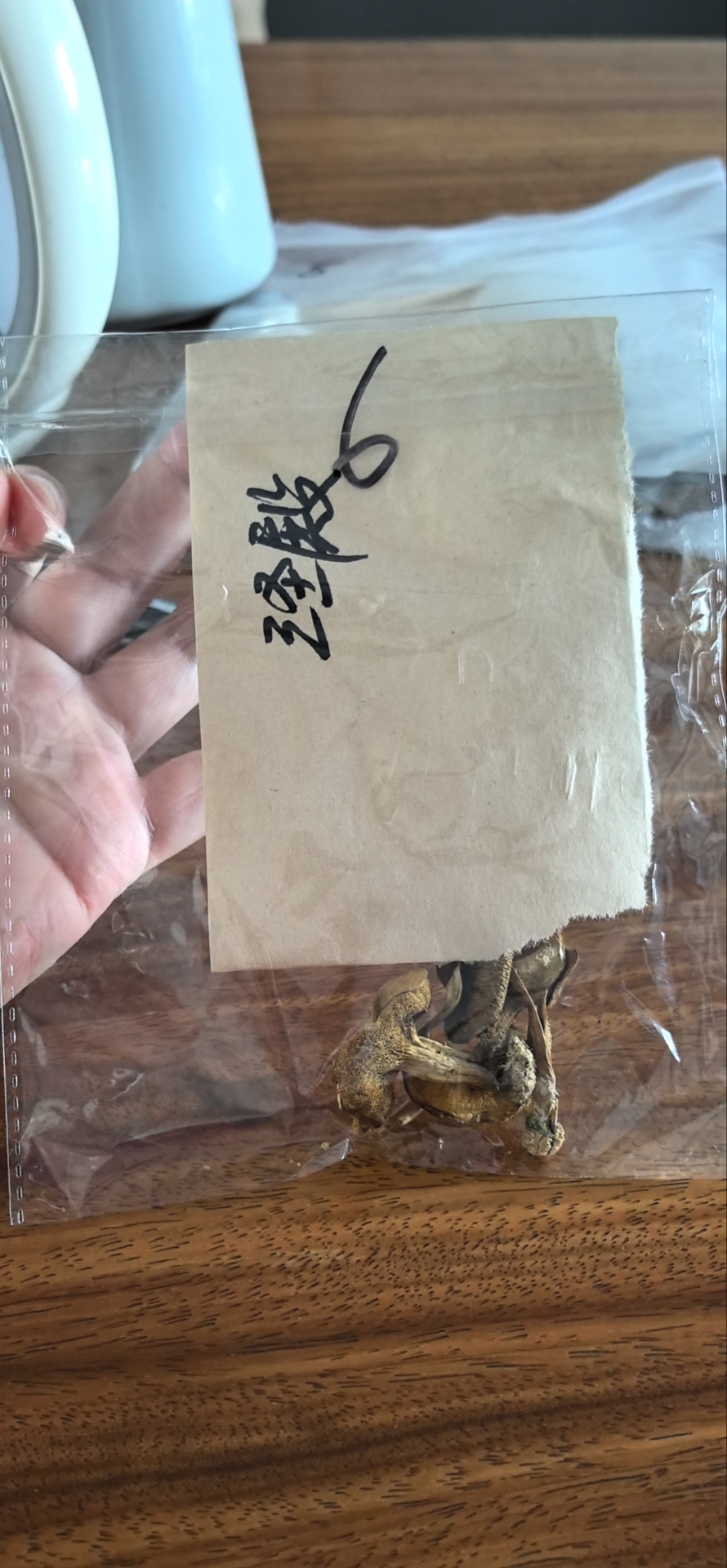 标本照片