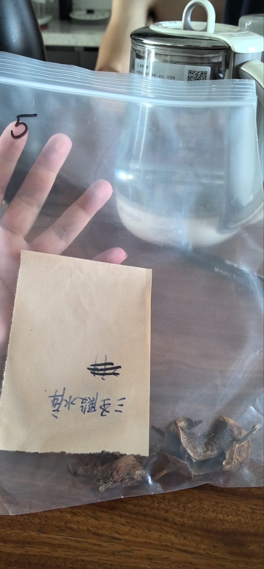 标本照片