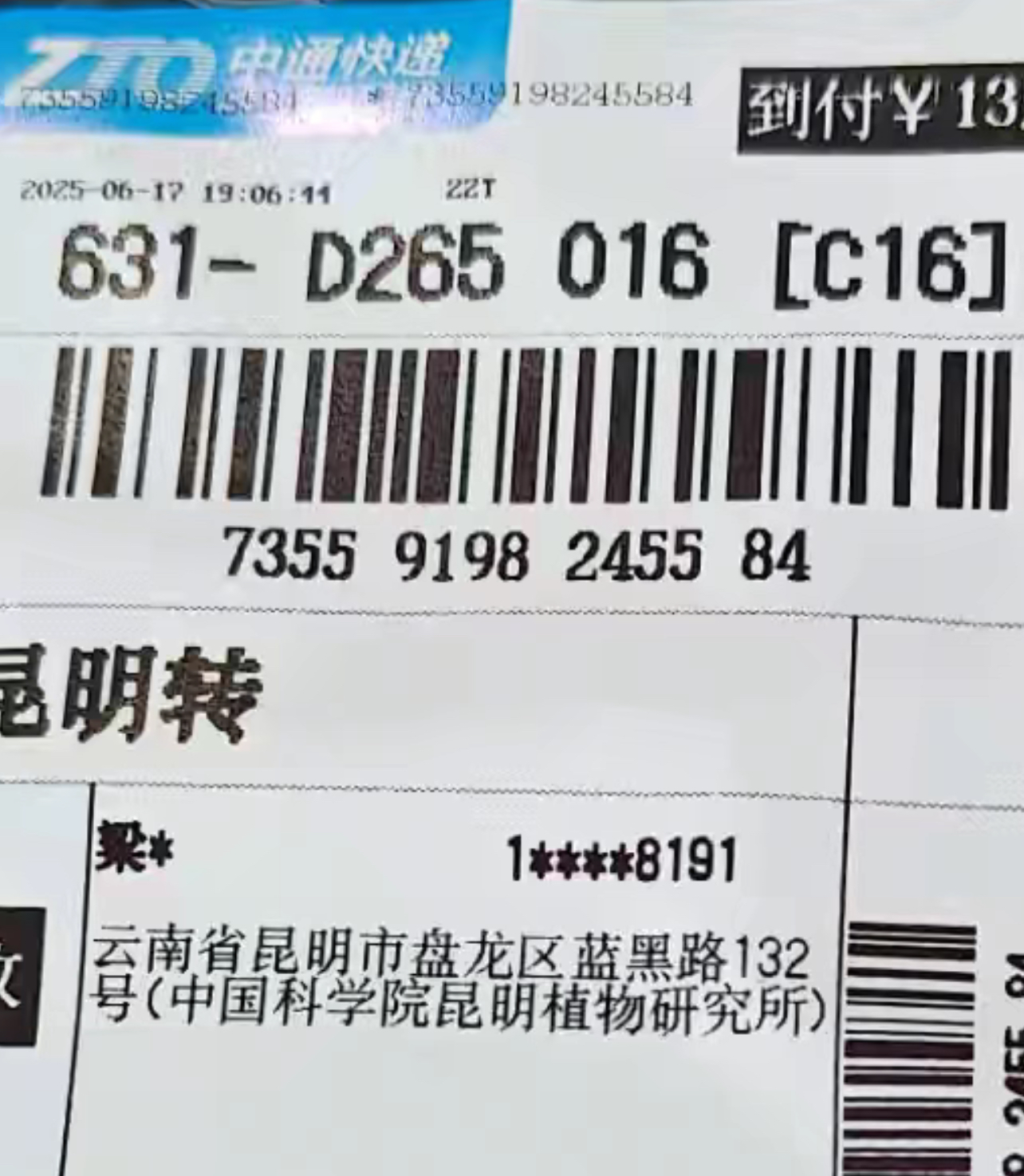 标本照片