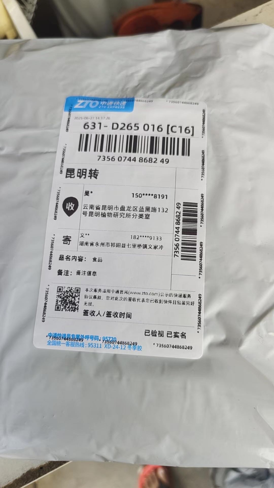 标本照片