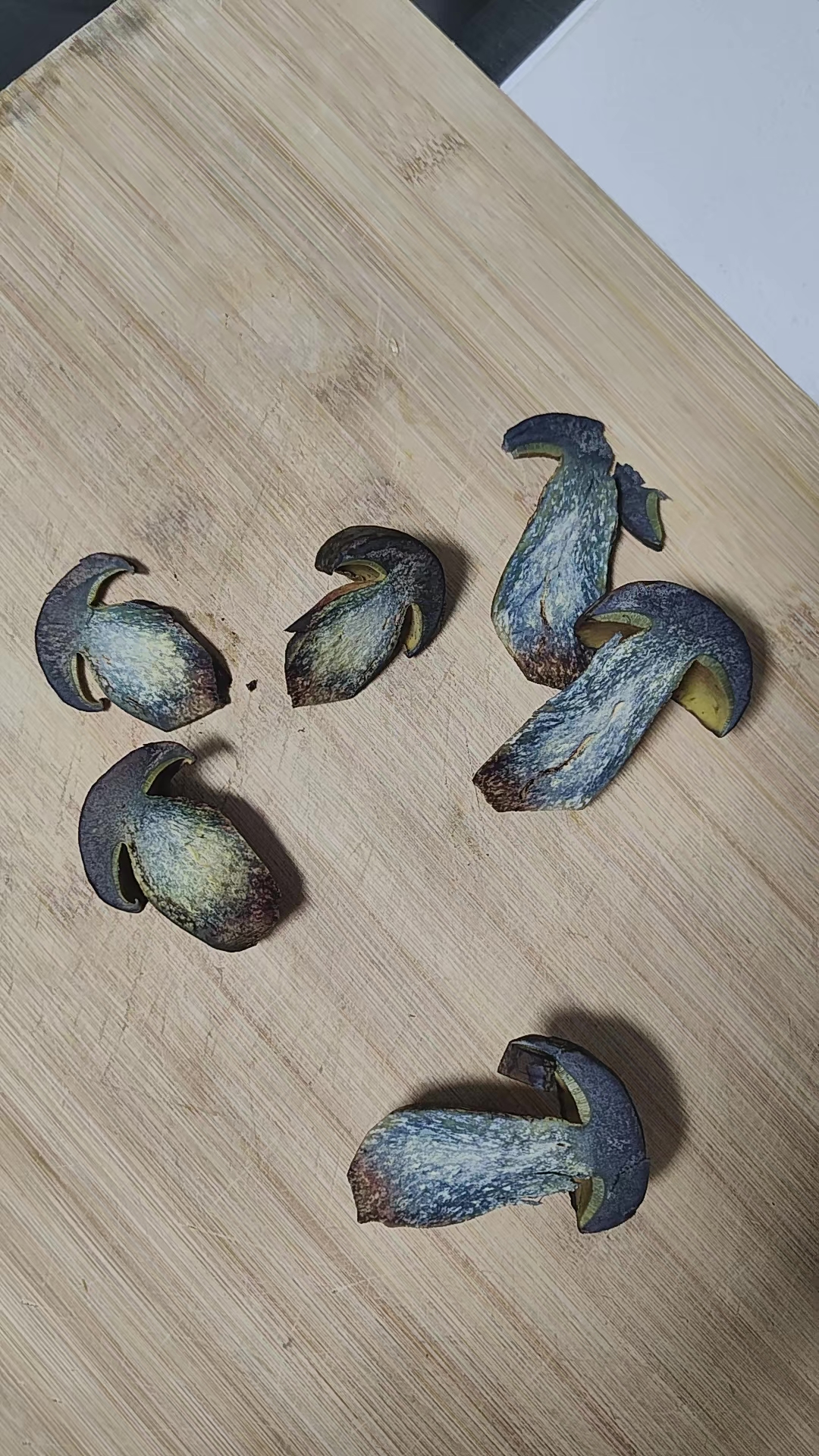 标本照片
