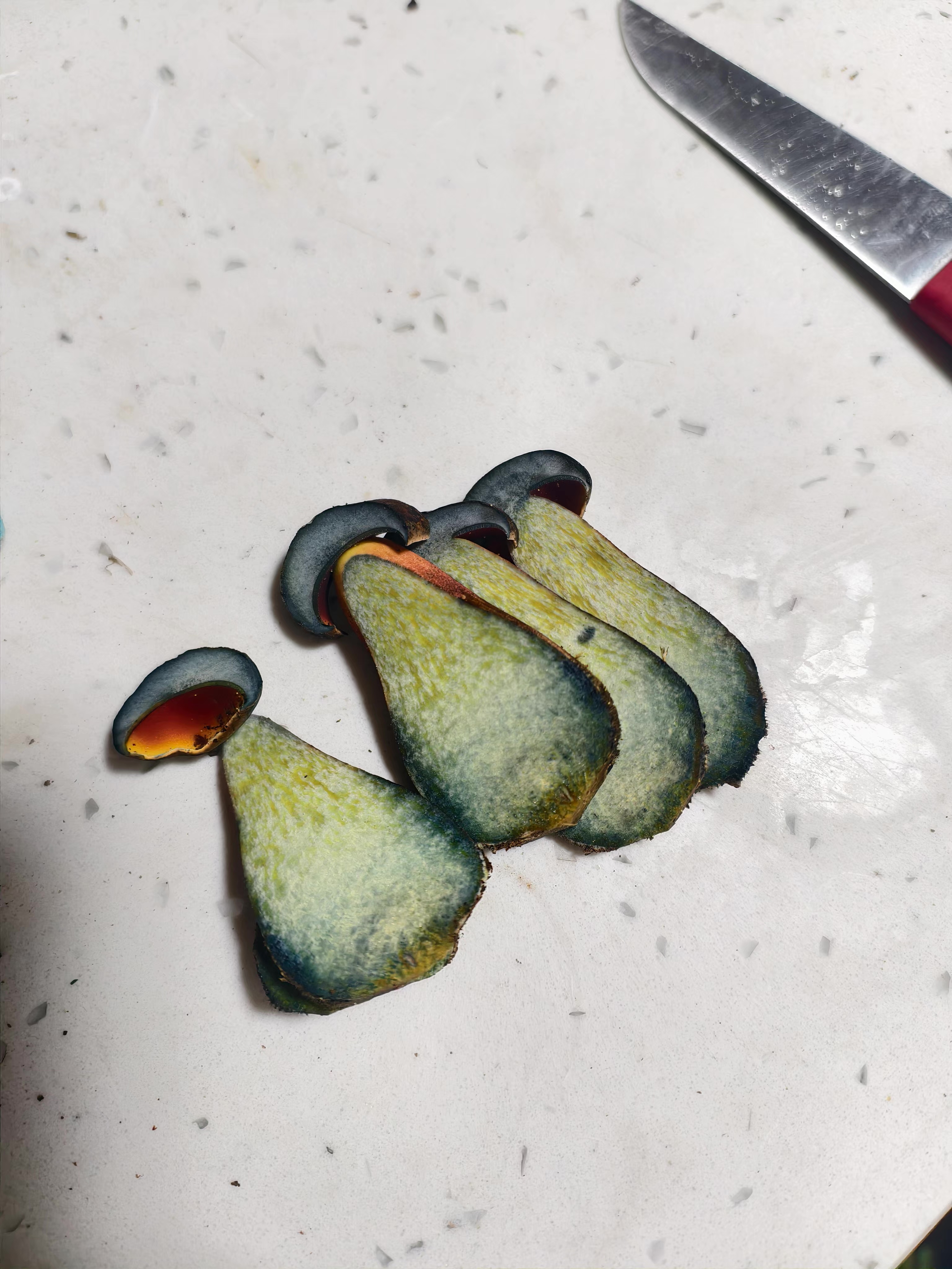 标本照片